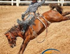 极速竞猜-Karsa赛事官方发布败北新规，加拿大队争议不断！的简单介绍